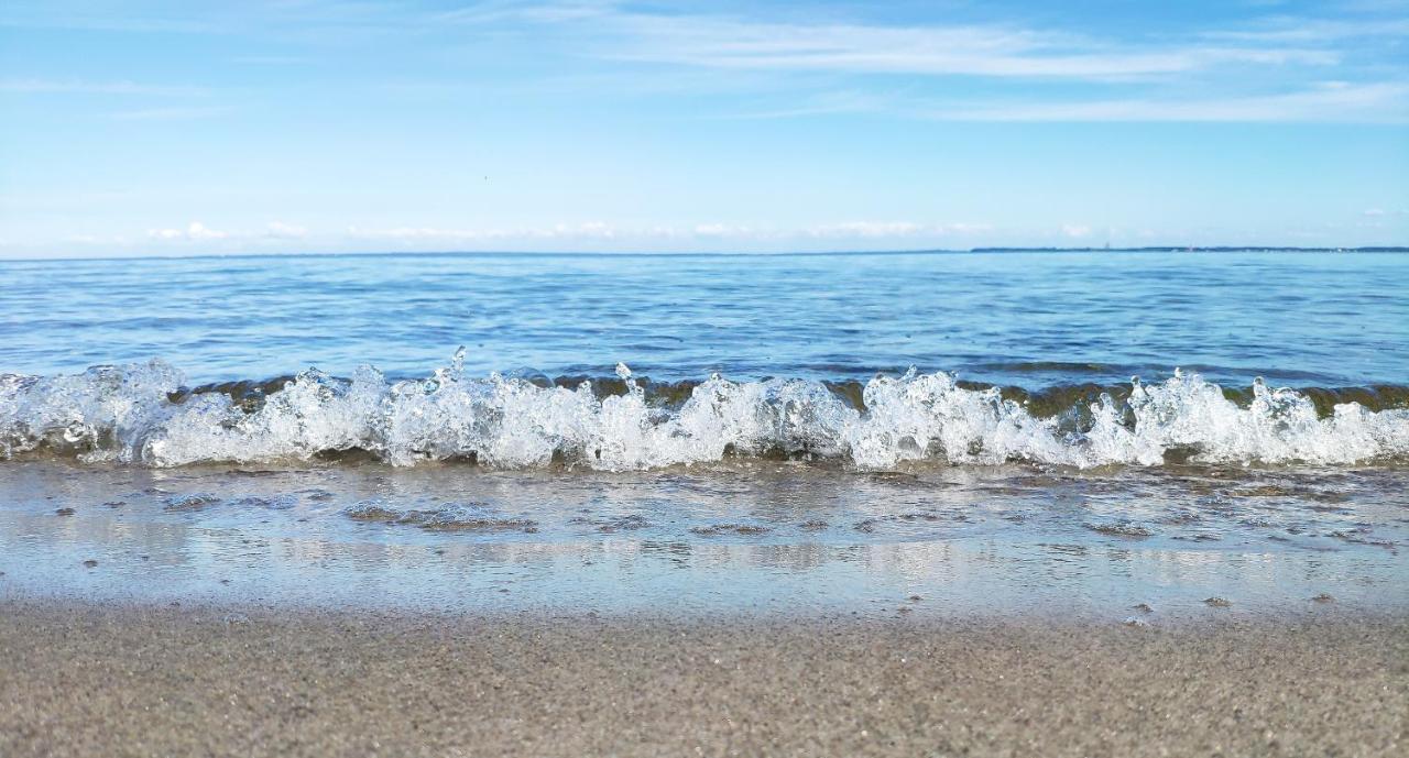 지르크도르프 Zum Wohlfuhlen Fur 4 Erwachsene +1 Kind, Schwimmbad Vor Der Tur Tiere Erlaubt 아파트 외부 사진